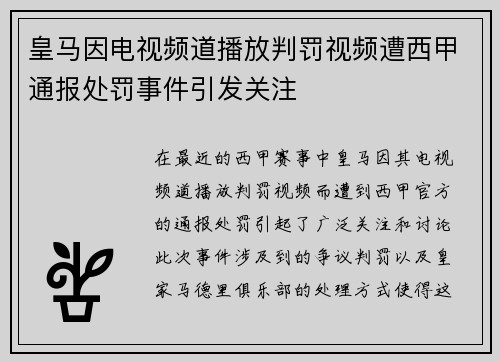 皇马因电视频道播放判罚视频遭西甲通报处罚事件引发关注
